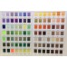 Polyester single and double complexion